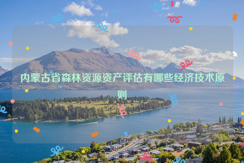 內(nèi)蒙古省森林資源資產(chǎn)評估有哪些經(jīng)濟技術(shù)原則