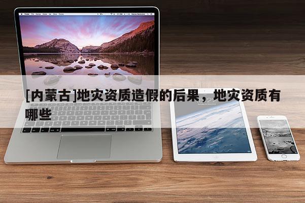 [內(nèi)蒙古]地災(zāi)資質(zhì)造假的后果，地災(zāi)資質(zhì)有哪些