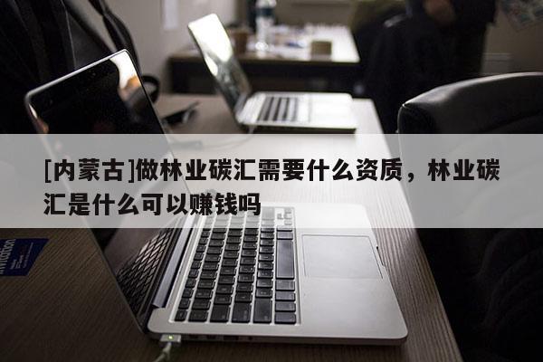 [內蒙古]做林業(yè)碳匯需要什么資質，林業(yè)碳匯是什么可以賺錢嗎