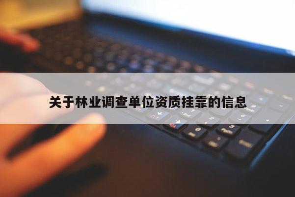 關于林業(yè)調(diào)查單位資質(zhì)掛靠的信息