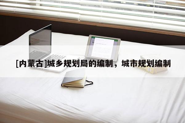[內蒙古]城鄉(xiāng)規(guī)劃局的編制，城市規(guī)劃編制