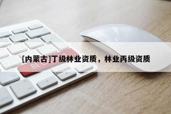 [內蒙古]丁級林業(yè)資質，林業(yè)丙級資質