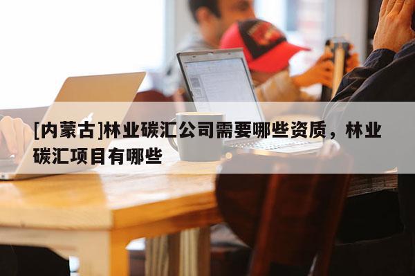[內(nèi)蒙古]林業(yè)碳匯公司需要哪些資質(zhì)，林業(yè)碳匯項目有哪些