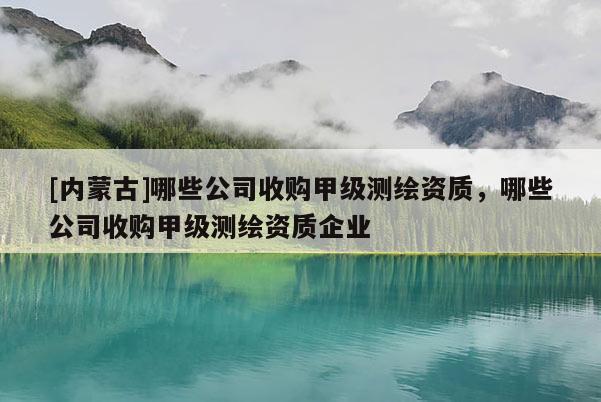 [內(nèi)蒙古]哪些公司收購甲級測繪資質(zhì)，哪些公司收購甲級測繪資質(zhì)企業(yè)
