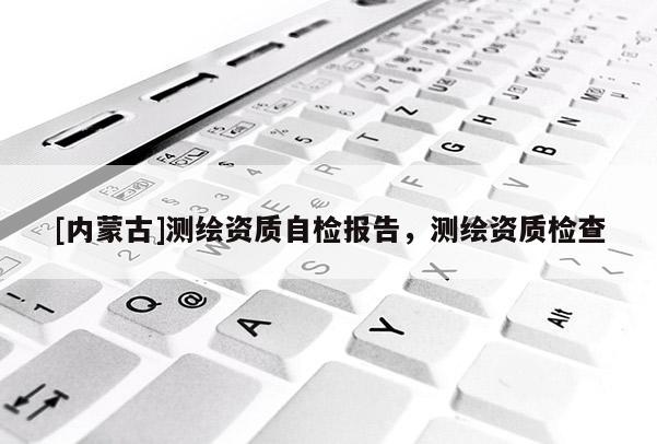 [內(nèi)蒙古]測(cè)繪資質(zhì)自檢報(bào)告，測(cè)繪資質(zhì)檢查